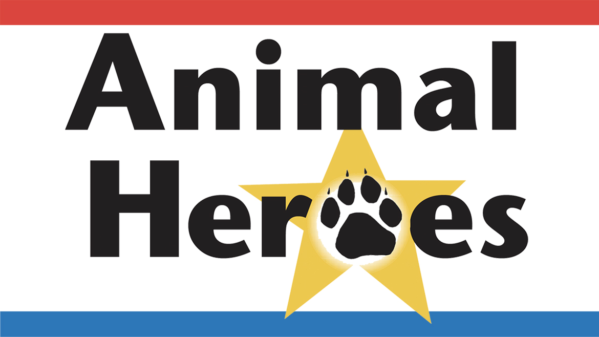 Animal Heroes Header Heroes