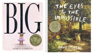 Two books: Big by Vashti Harrison and The Eyes & the Impossible by Dave Eggers