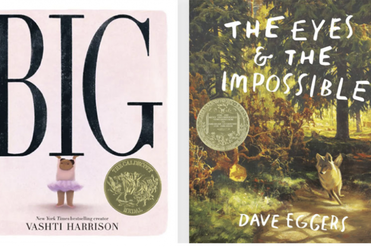 Two books: Big by Vashti Harrison and The Eyes & the Impossible by Dave Eggers